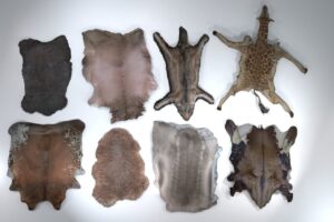 Animal pelts volume 4  giraffe  wolf  stag  reindeer  sheep  bull  bison 4k   3D Creatures   Unity Asset Store