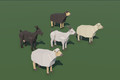 Unity Asset Soldier | 【無料】Animated Goat and Sheep- 3D low poly-FREE：アニメーション豊富なヤギと羊の 3D モデル