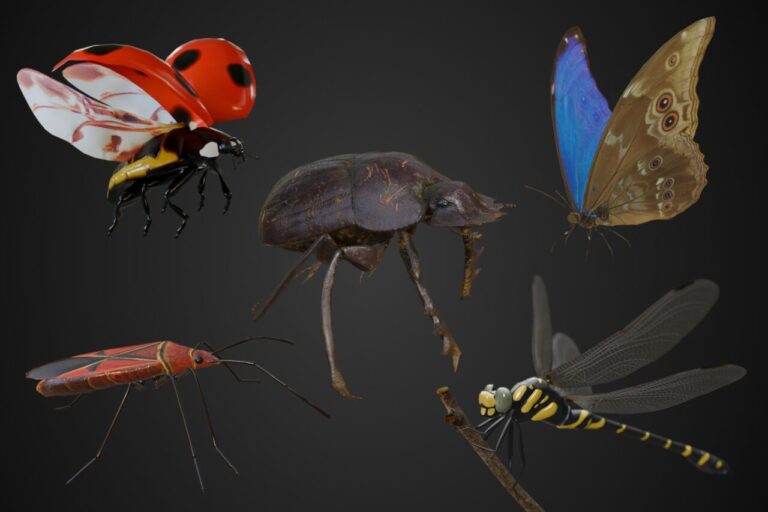 Annimated Insects Animated insect bundle:細かな足の動きまで再現された5種類のリアルな昆虫3Dモデルセット