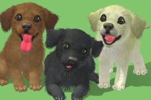 Cute Dog   Labrador   Characters   Unity Asset Store