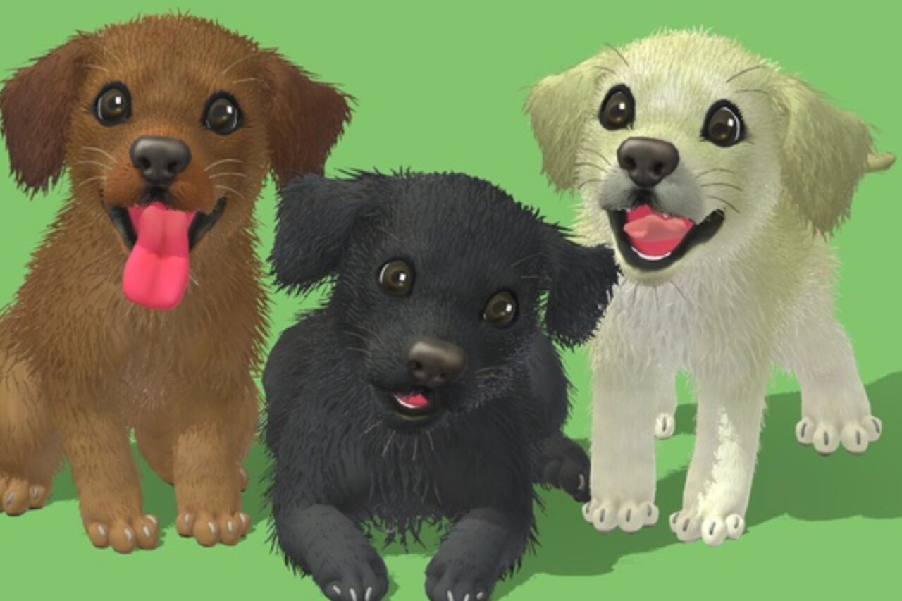 Cute Dog   Labrador   Characters   Unity Asset Store
