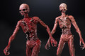 Unity Asset Soldier | 【SALE】 Decayed Ghoul Zombie リアルで不気味なゾンビの 3D モデル 50% オフのリリースセールが実施中 2026年1月21日まで Unity Asset Soldier | 【SALE】 Decayed Ghoul Zombie リアルで不気味なゾンビの 3D モデル 50% オフのリリースセールが実施中 2026年1月21日まで