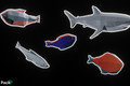 Unity Asset Soldier | 【無料】Fish – PolyPack：サメなどの魚 5 種類を収録した軽量な 3D モデルパック
