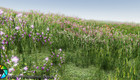 Unity Asset Soldier | 【無料】Grass Flowers Pack Free：12種類の草花と高解像度地面テクスチャ素材