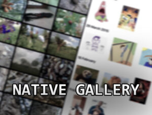 Native Gallery for Android   iOS   Integration   Unity Asset Store