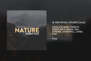 Nature   Essentials   Nature Ambient   Unity Asset Store