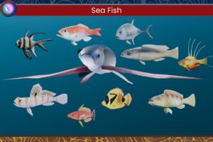 Nusantara Ocean Fish   Characters   Unity Asset Store