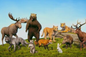Realistic  Animal Forest Set   3D Animals   Unity Asset Store