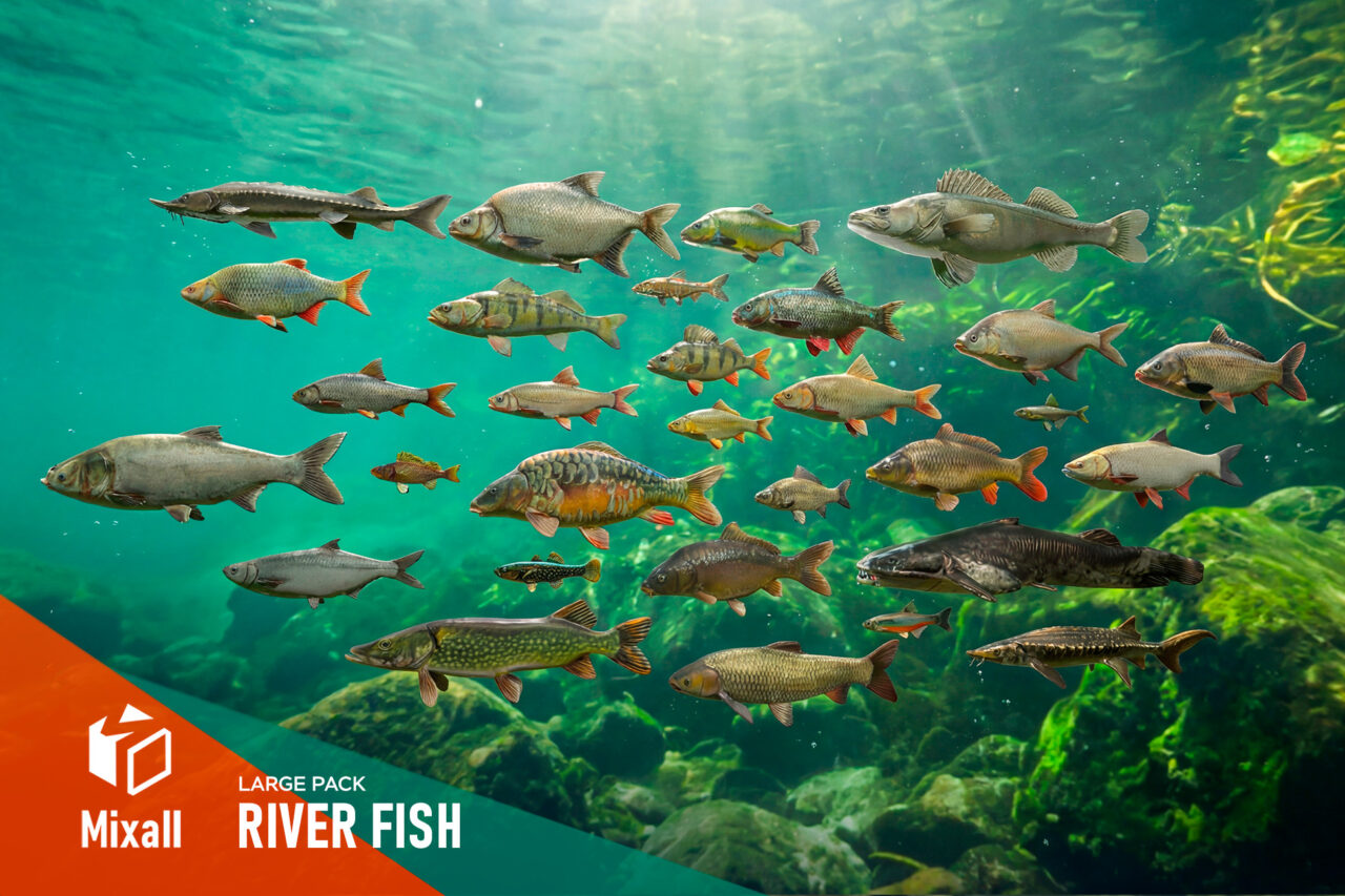 Unity Asset Soldier | 【SALE】 River fish – large pack 30種のリアルな淡水魚モデルが50%オフ、2026年1月26日まで Unity Asset Soldier | 【SALE】 River fish – large pack 30種のリアルな淡水魚モデルが50%オフ、2026年1月26日まで