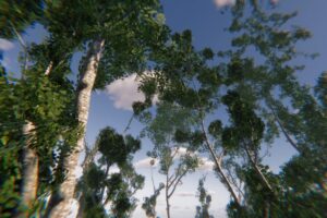 Trees Collection Asset PBR   3D Trees   Unity Asset Store