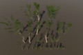Unity Asset Soldier | 【無料】Trees Collection Asset PBR：27 種類の高品質な樹木でリアルな自然環境を作るアセット