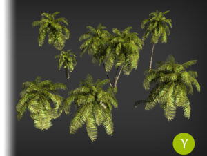 Yughues Free Palm Trees   3D Trees   Unity Asset Store