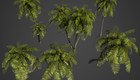Unity Asset Soldier | 【無料】Yughues Free Palm Trees：南国やエキゾチックな風景を作る高品質なヤシの木