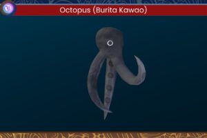 Burita Kawao   3D Creatures   Unity Asset Store