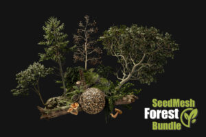 SeedMesh Forest Bundle   3D Environments   Unity Asset Store