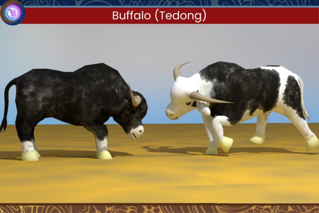 Tedong SIlaga   3D Animals   Unity Asset Store