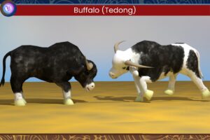 Tedong SIlaga   3D Animals   Unity Asset Store