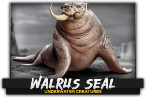 Walrus Seal Underwater Enemy Creature   Characters   Unity Asset Store