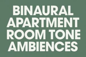 Binaural Room Tones   Audio Sound FX   Unity Asset Store