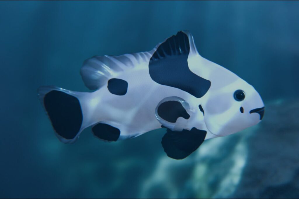 Clownfish Black Storm   Characters   Unity Asset Store