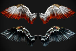 Fallen Angel Wings   Props   Unity Asset Store
