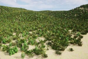 Realistic Meadow Grass Pack Game Ready Foliage   3D Landscapes   Unity Asset Store